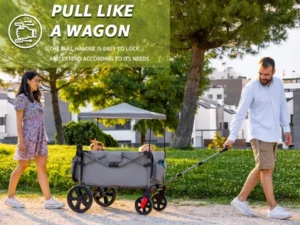 Read more about the article Best Folding Wagon With Canopy & Cooler (2023) Reviews