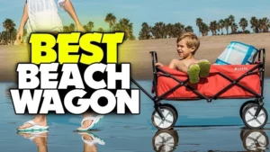 Best Beach Wagon with Seats Belts